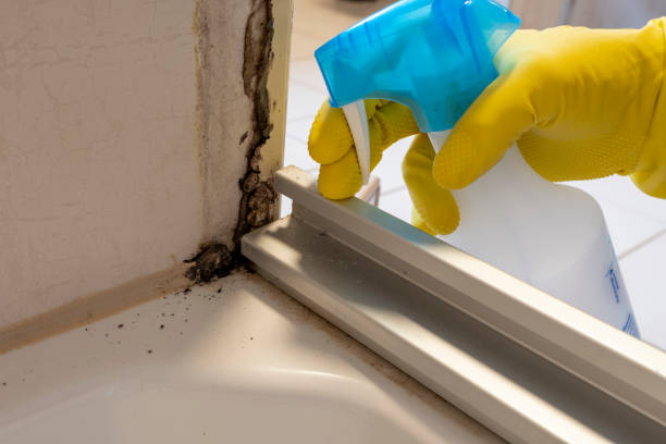 Crawl Space Mold Removal in Milford Mill, MD